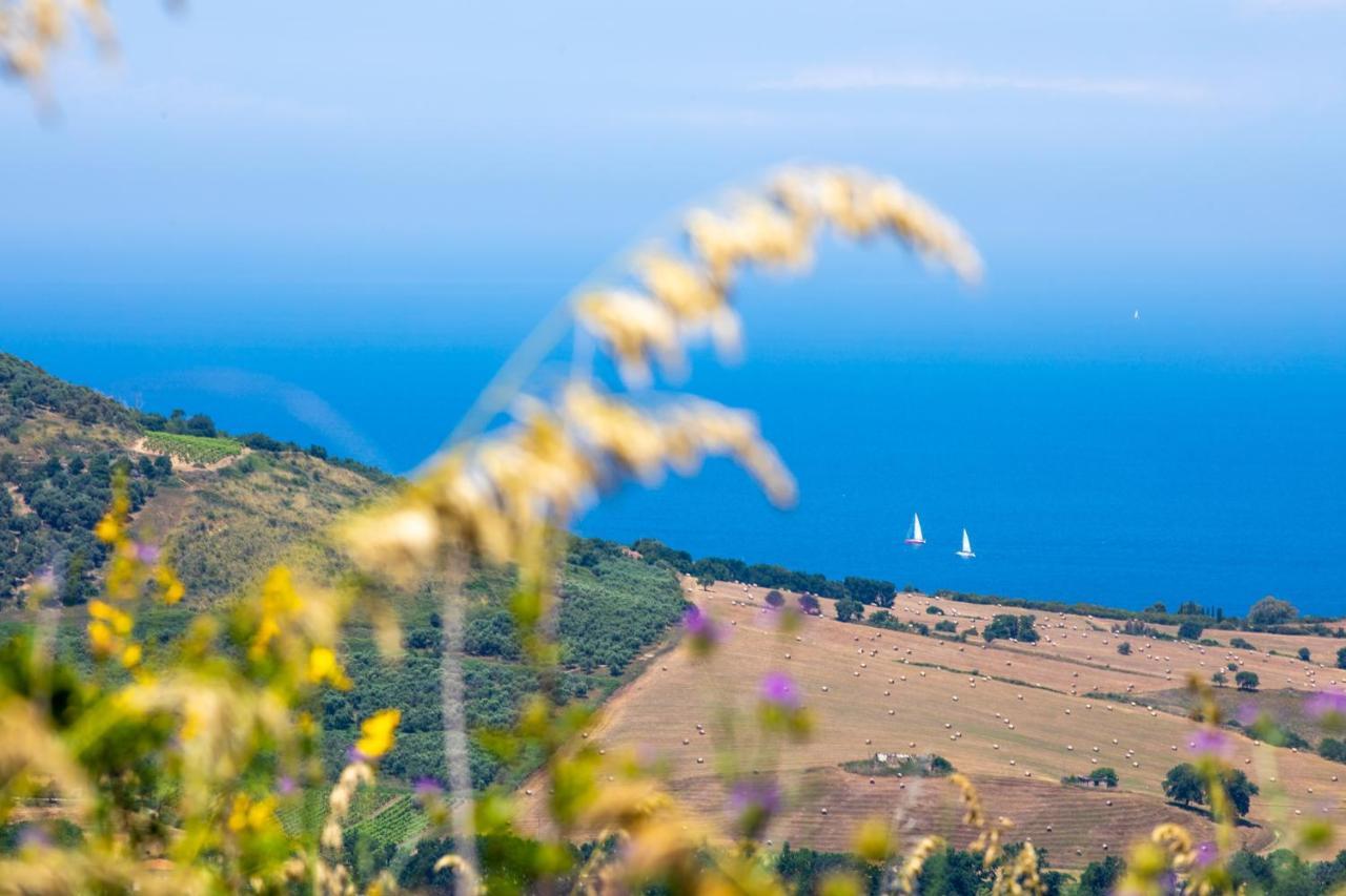 Aparthotel Il Panorama Housing Cilento Santa Maria di Castellabate Esterno foto