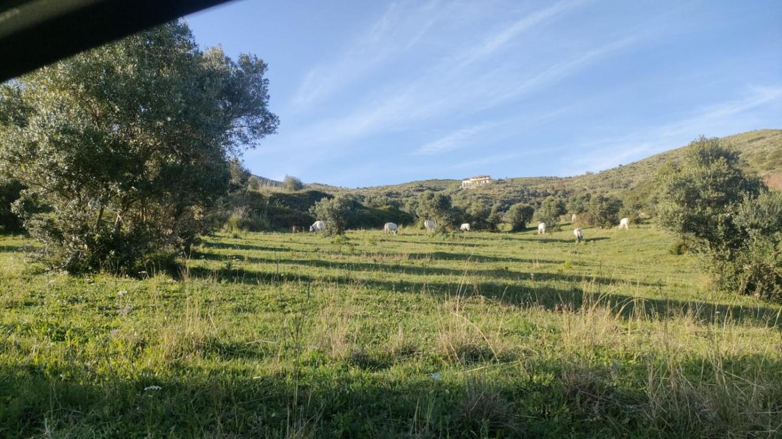 Aparthotel Il Panorama Housing Cilento Santa Maria di Castellabate Esterno foto