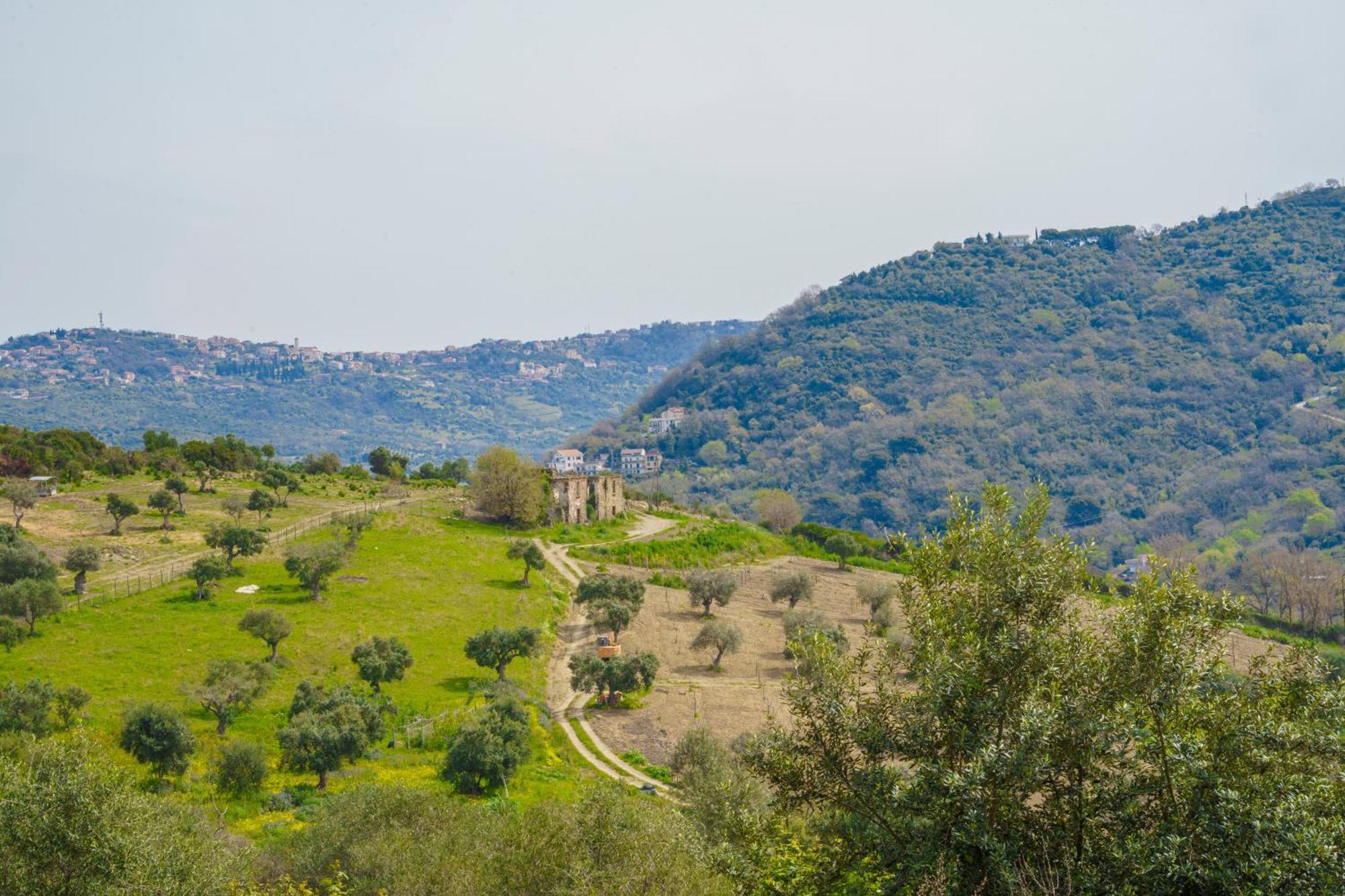 Aparthotel Il Panorama Housing Cilento Santa Maria di Castellabate Esterno foto